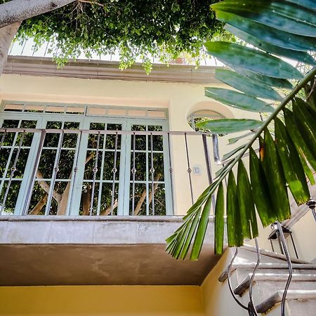 לינה וארוחת בוקר סאן מיגל דה אלנדה Casa Florida מראה חיצוני תמונה