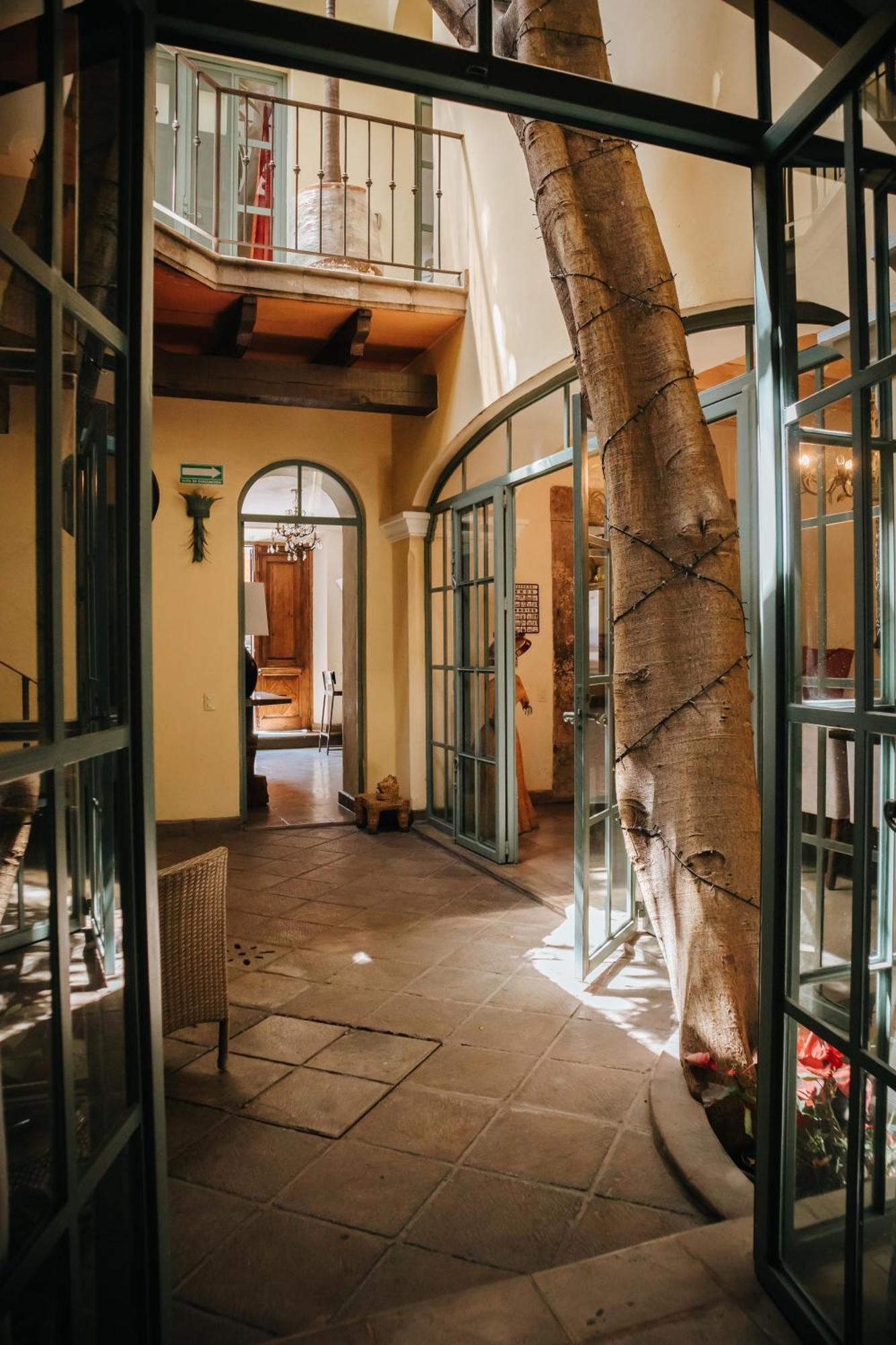 לינה וארוחת בוקר סאן מיגל דה אלנדה Casa Florida מראה חיצוני תמונה