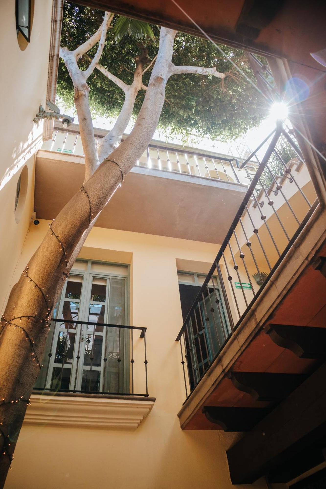 לינה וארוחת בוקר סאן מיגל דה אלנדה Casa Florida מראה חיצוני תמונה